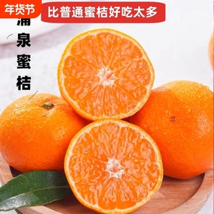 正宗涌泉蜜桔早熟宫川浙江无核蜜橘黄岩橘子当季新鲜水果5斤桔10