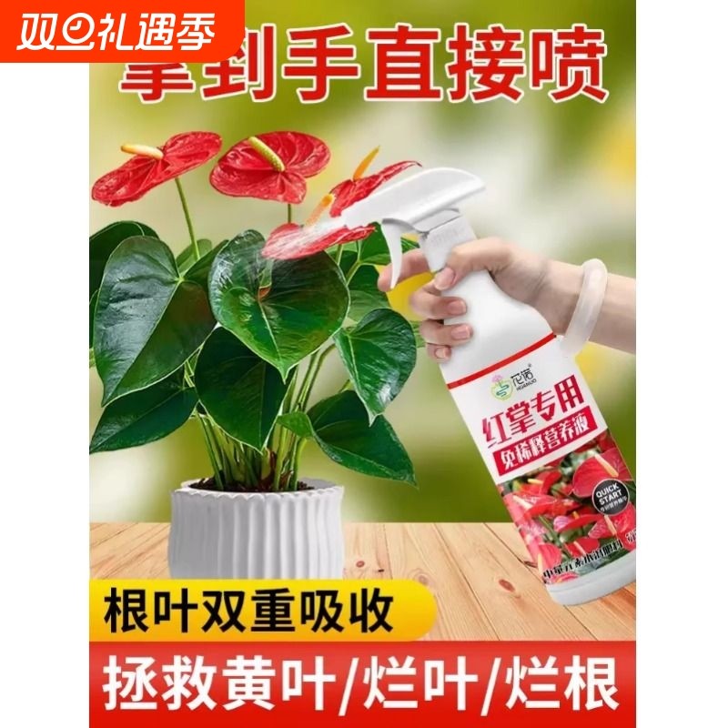 红掌专用营养液免稀释水培开花肥红掌专用肥白掌肥料液体叶面肥