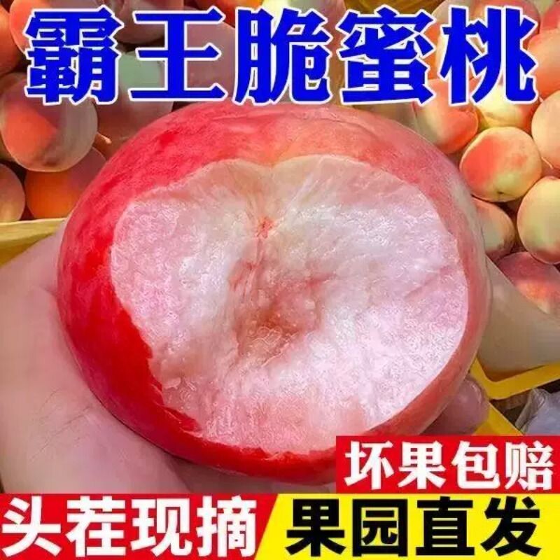 【红不软脆蜜桃】正宗脆蜜桃整箱包邮毛桃应季新鲜水果桃子脆甜