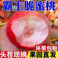 【红不软脆蜜桃】正宗脆蜜桃整箱包邮