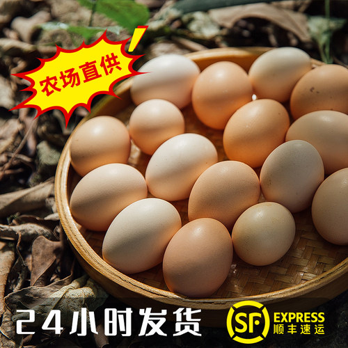 九华山土鸡蛋40枚正宗散养农家新鲜草鸡蛋无沙门氏菌营养顺丰包邮