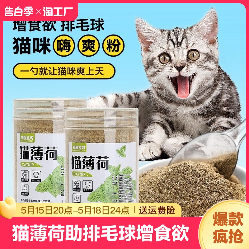 猫薄荷球猫咪零食粉末可食用猫草去毛球幼猫化毛球除口臭逗猫用品 宠物/宠物食品及用品 猫薄荷/木天蓼 原图主图