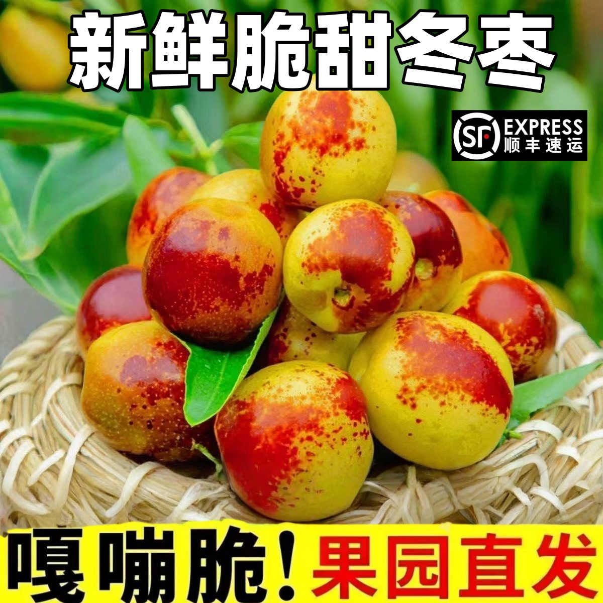顺丰包邮正宗冬枣新鲜大果应季整箱枣子现摘脆枣冰糖大枣当季水果