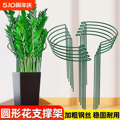 花支撑架金钱树护叶支撑杆半圆防倒伏龟背竹虎皮兰绣球园艺固定架