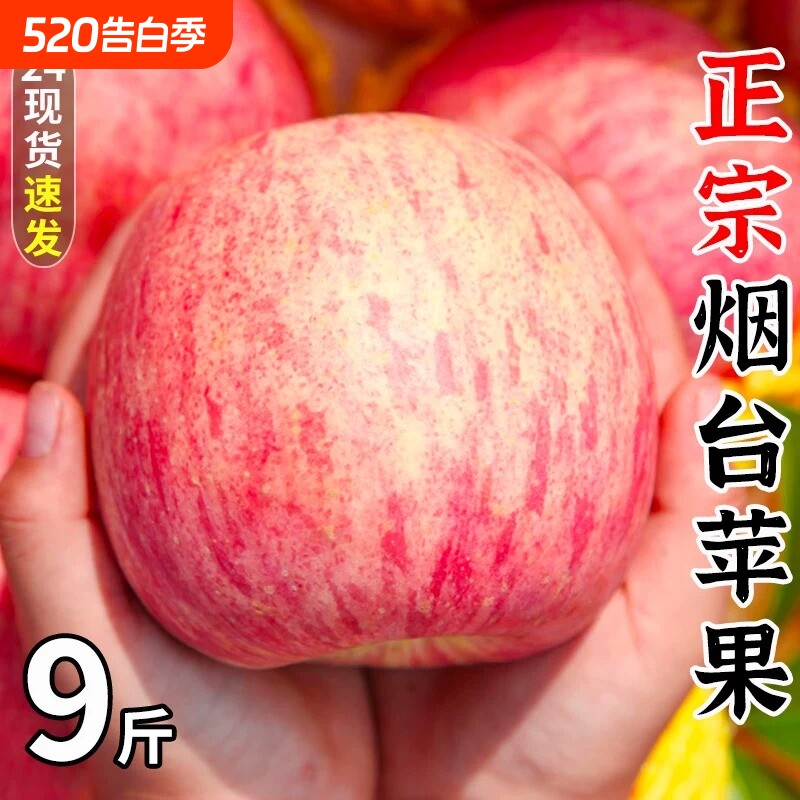 山东烟台红富士苹果新鲜水果当季栖霞萍果丑平果脆甜