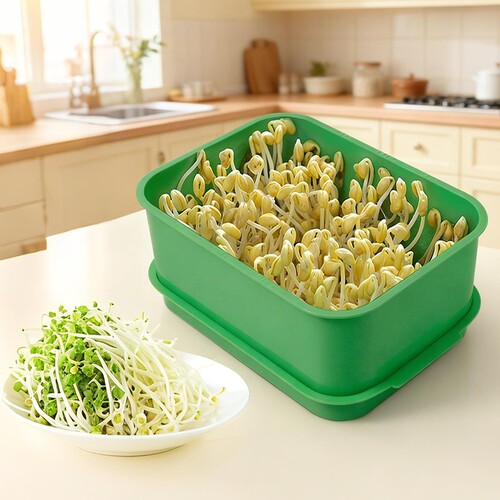 食品级无土水培黄绿豆发芽盆神器
