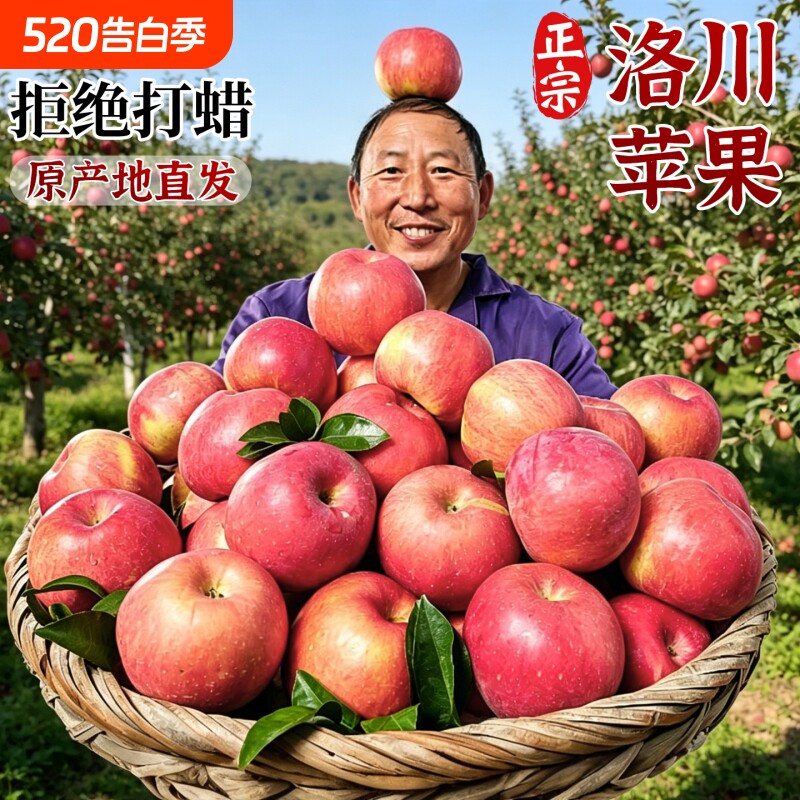 正宗陕西洛川苹果水果优选当季新鲜现摘红富士脆甜延安特产包邮