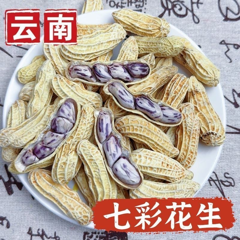 云南七彩花生龙岩湿烤水煮白晒熟新鲜水煮咸干七彩花生五彩花生
