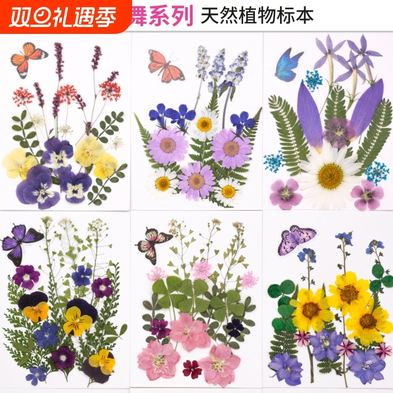 干花真花diy材料玫瑰干花滴胶手机壳手工团扇贺卡书签压花树叶