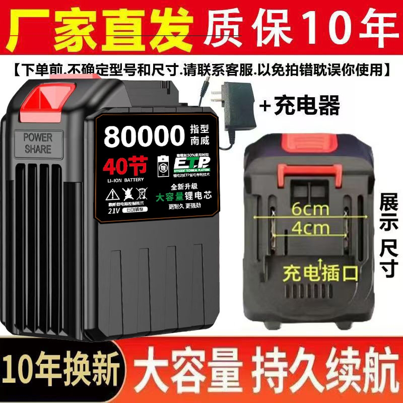 洗车机锂电池21V洗车水枪电池充电器便携手持自吸无线家用自动