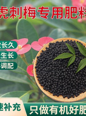 虎刺梅肥料铁海棠专用肥花麒麟刺肥花肥家用复合肥盆栽有机颗粒肥