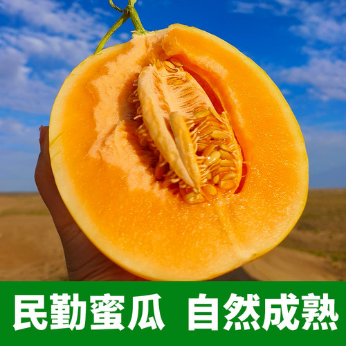 2026甘肃民勤沙漠甜瓜当季新鲜黄金蜜瓜香瓜整箱脆甜头茬民勤蜜瓜