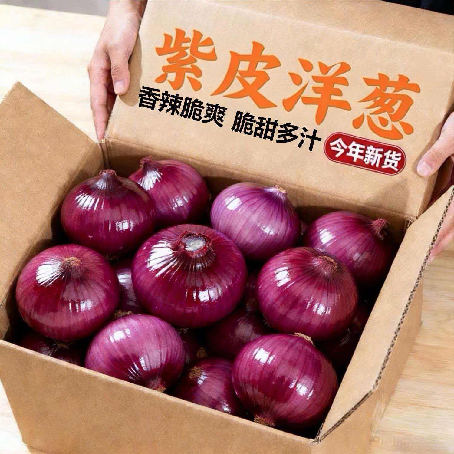 2026新鲜紫皮水果洋葱脆嫩时令蔬菜当季扁葱生吃脆甜批发自提种植