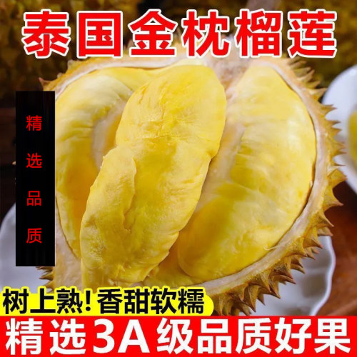 泰国进口金枕榴莲当季新鲜带壳鲜果软糯香甜整个巴掌榴莲顺丰包邮