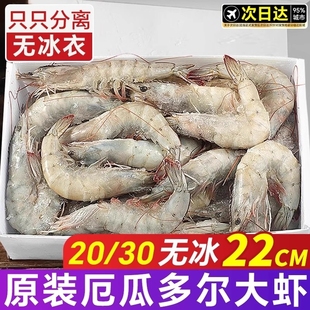 厄瓜多尔白虾大虾盐冻2030鲜活速冻南美白虾基围虾对虾海鲜无冰