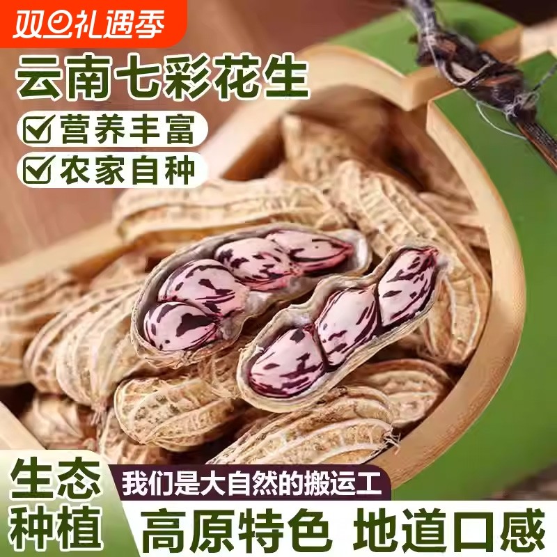 今年新货带壳七彩花生