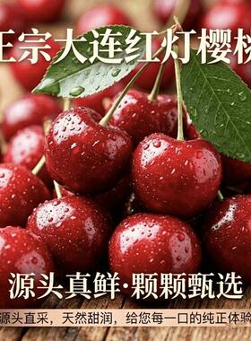 正宗大连红灯沙蜜托美早大樱桃当季新鲜礼盒装4j巨无霸源头鲜果