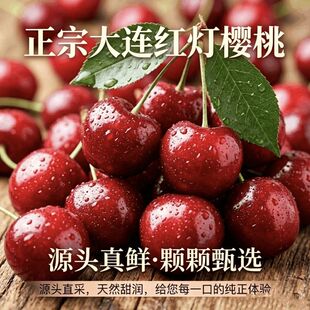正宗大连红灯沙蜜托美早大樱桃当季新鲜礼盒装4j巨无霸源头鲜果