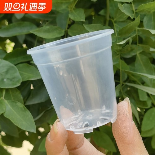 高透圆盆蝴蝶兰花塑料花盆