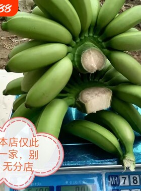 广东皇帝蕉香蕉banana帝王焦皮薄非小米蕉新鲜水果现采现发纯甜