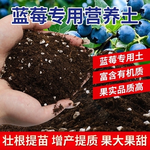 蓝莓盆栽专用土蓝莓树营养土瓜果树通用土壤蓝莓种植土有机土肥料