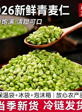 青麦仁新鲜优质青麦粒米去皮即食煮粥饭鲜麦仁粥营养丰富五谷杂粮