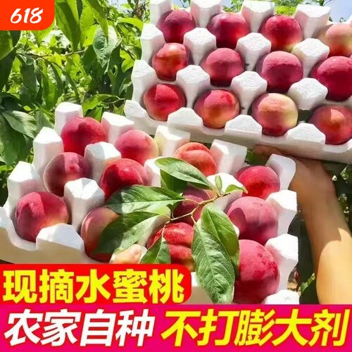 【头茬更甜】新鲜水蜜桃现摘甜脆毛桃子孕妇时令当季水果整箱包邮