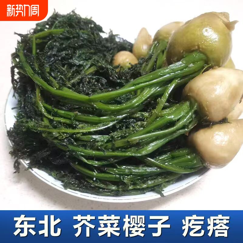 东北芥菜樱子咸菜特产五斤0防腐剂咸菜老味道农家新鲜传统腌制