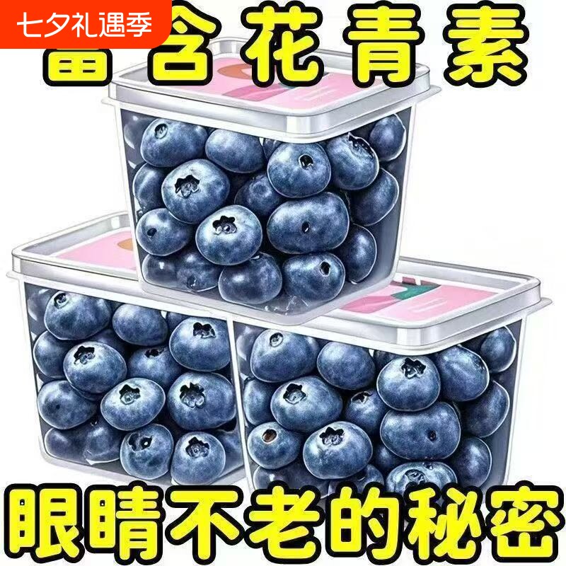 护眼明目】蓝莓干蓝莓果大兴安岭特产大颗粒孕妇儿童零食果干蜜饯