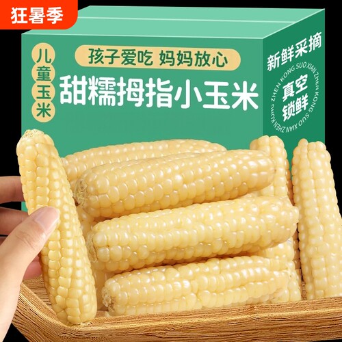 云南西双版纳香糯拇指小玉米