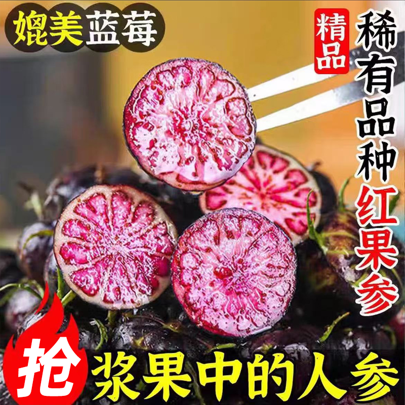 云南红果参当季蜘蛛果新鲜水果稀罕见现摘算盘果高原当季整颗食用