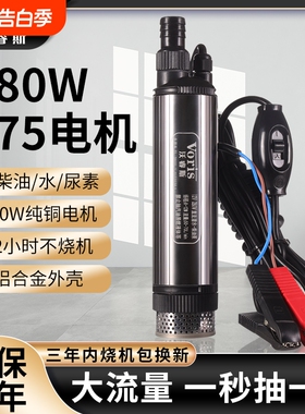 280w大功率柴油泵电动抽油泵神器12v大流量24伏小型抽水泵220潜油