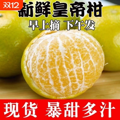 正宗广西皇帝柑新鲜橘子水果当季现摘贡柑甜橘大果包邮果园好吃