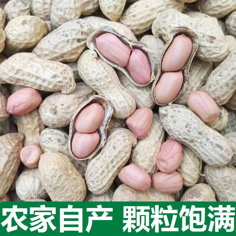 当季新晒干生花生带壳生花生原味白沙花生榨油花生生花生带壳新鲜