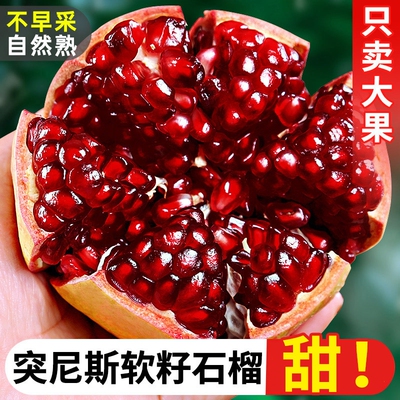 正宗四川会理突尼斯软籽石榴新鲜孕妇水果应当季现摘特大果礼盒装
