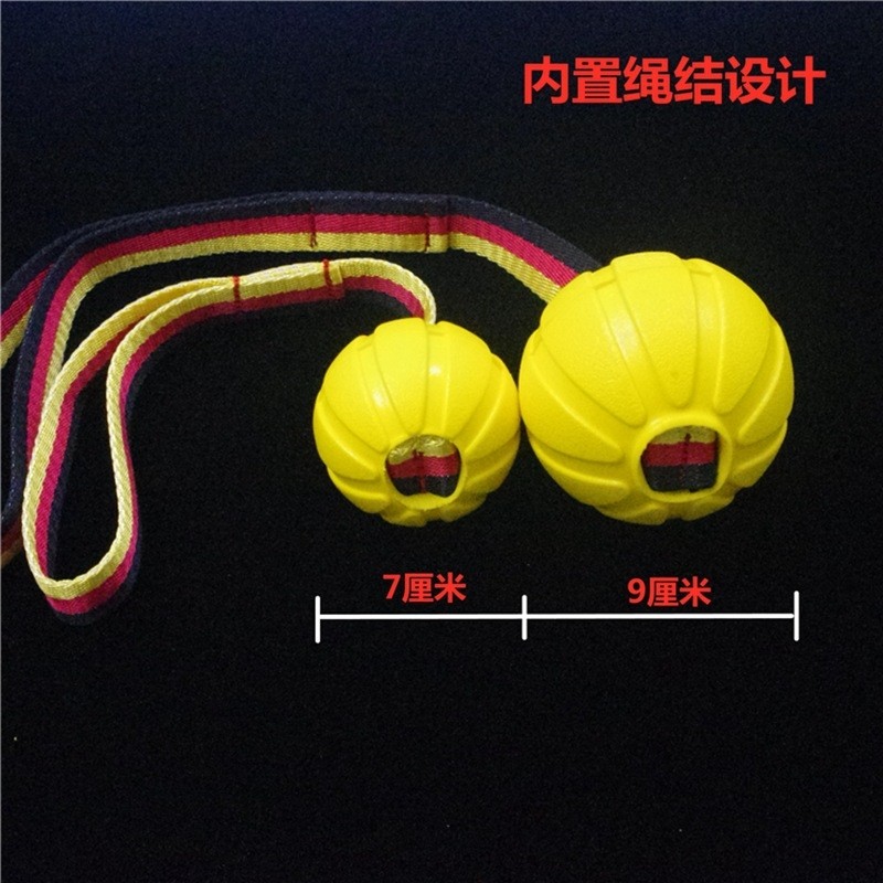 马犬训练用品专业训犬师专用绳球狗狗玩具耐咬浮水驯犬宠物训练球,宠物/宠物食品及用品,橡胶球/球形玩具,淘宝优惠券,粉丝福利购,淘宝优惠卷