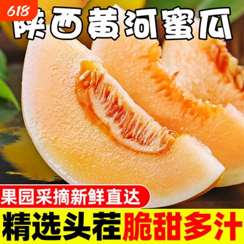 正宗黄河蜜瓜黄肉孕妇水果黄金香瓜甜瓜黄金瓜香甜新鲜黄皮单果