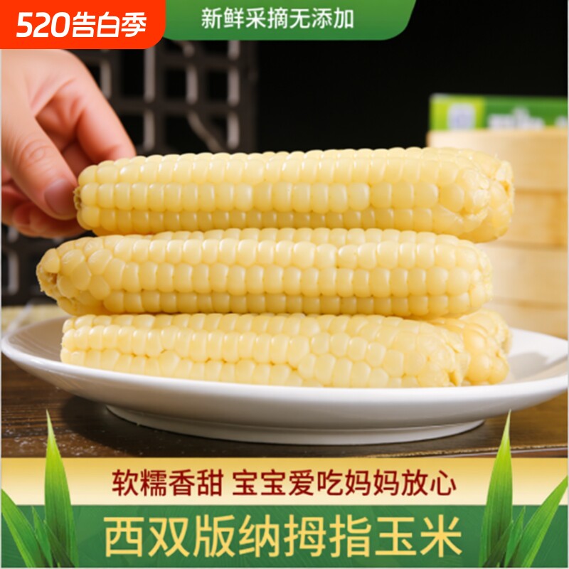 拇指玉米云南西双版纳香糯小玉米甜黏玉米棒早餐宝宝辅食