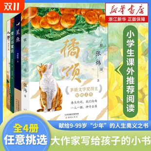 山林 讲述一个奔赴与春天 故事神奇 橘颂茅盾文学奖得主张炜从 人生奥义之书阅读课外正版 折返 探险故事献给少年 书店 高原
