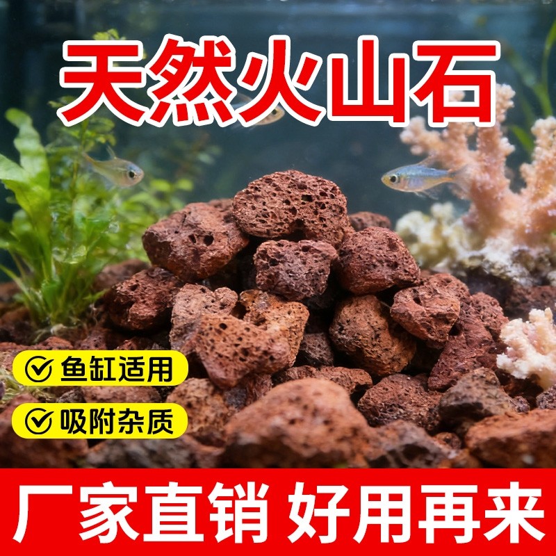 火山石鱼缸专用水族生态造景大块火山岩颗粒古法养鱼过滤材垫底砂