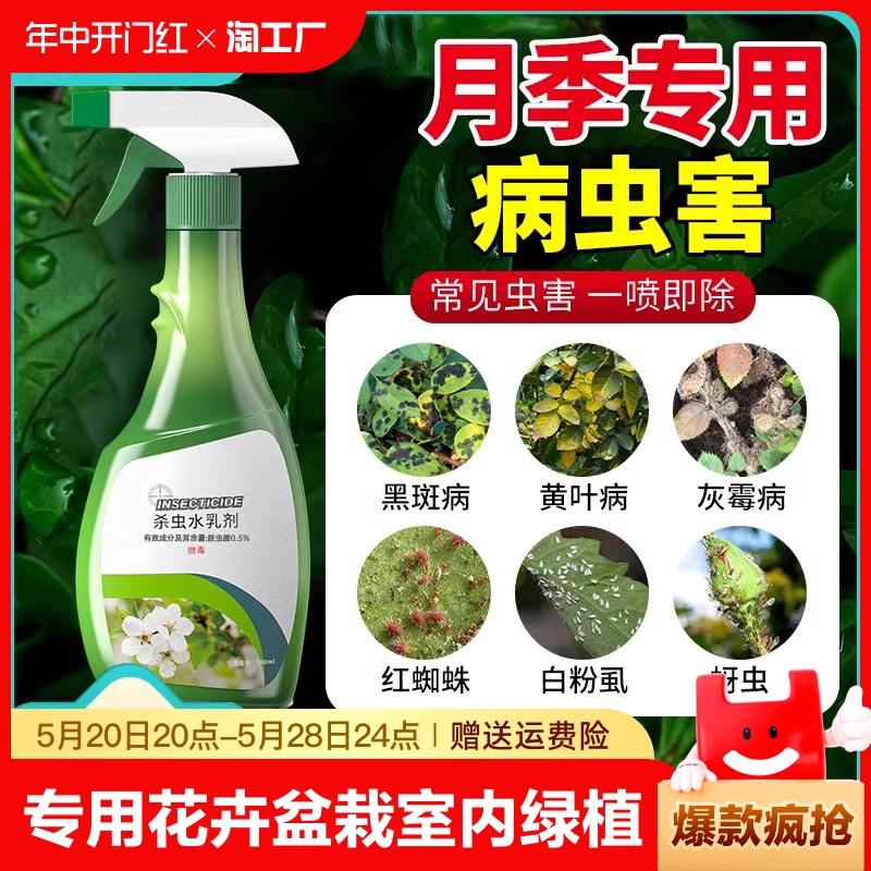 月季花非白粉黑斑病专用药病虫