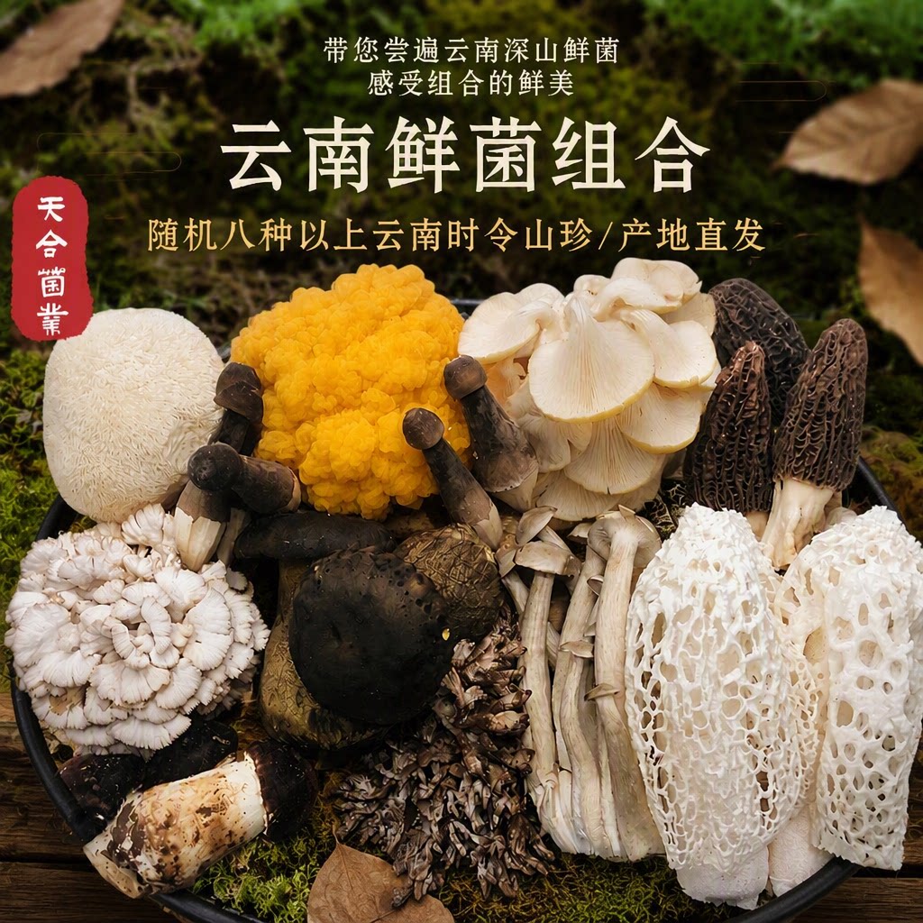 云南特产新鲜菌菇羊肚菌竹荪黑牛肝金耳非野生菌鲜菌组合虫草花