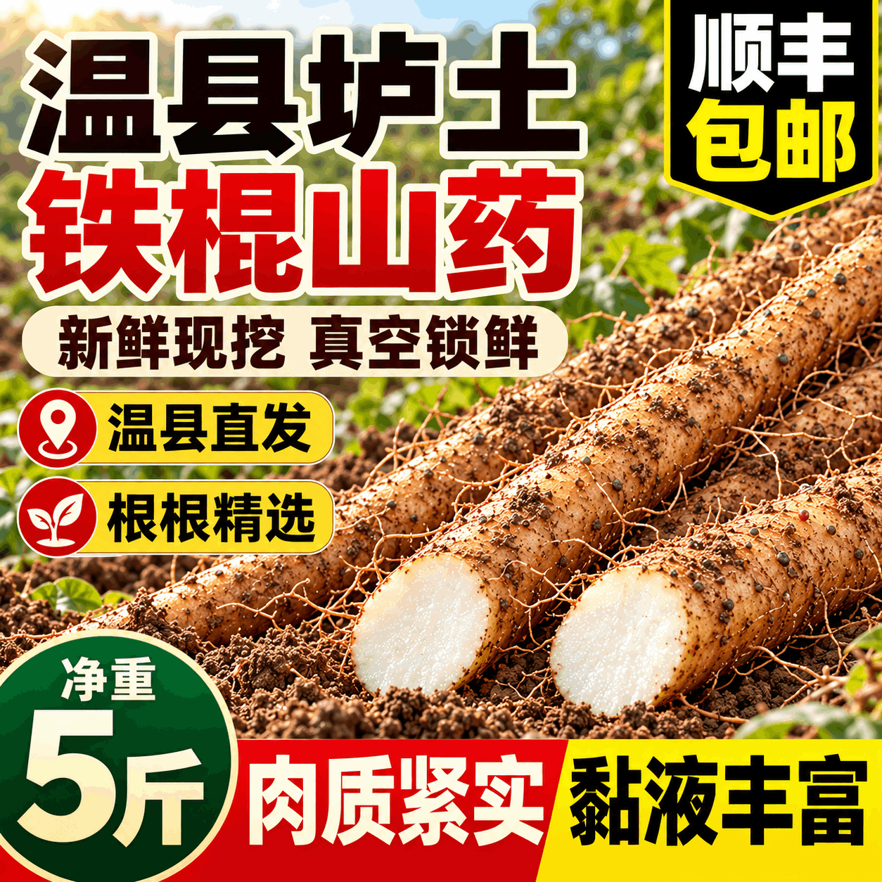 河南焦作温县铁棍山药垆土淮山药正宗怀山药特产新鲜山药5斤去皮
