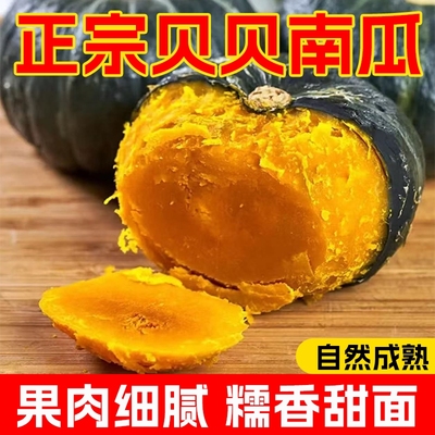 正宗贝贝南瓜新鲜小南瓜粉糯香甜新鲜现摘小南瓜低脂粗粮代餐南瓜