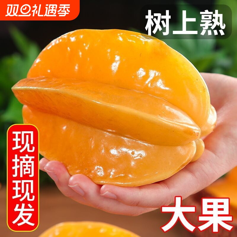 五斤【现摘现发】甜杨桃水果新鲜批发降火水果应季水果