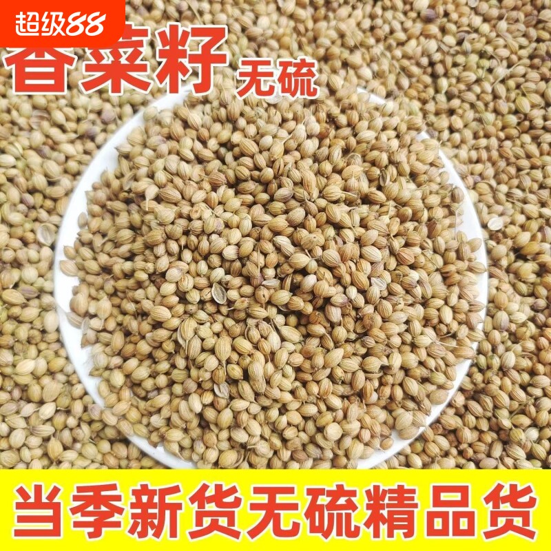 正宗广西香菜籽香料芫荽子胡荽籽卤料火锅调料商用批发花椒散装
