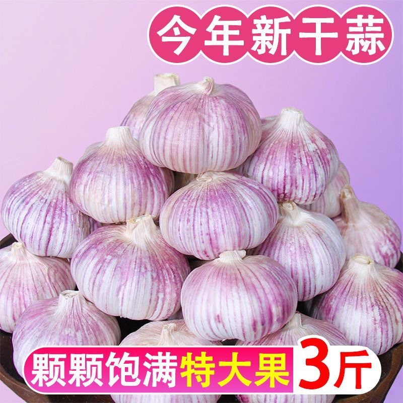 【3斤大蒜】2025超低价紫皮大蒜新干蒜大蒜头3斤1斤精选干蒜批发