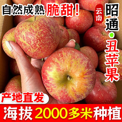 鲜本森昭通市丑苹果脆甜