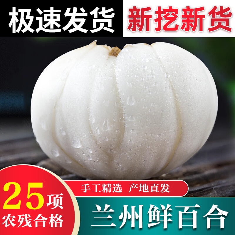 顺丰包邮兰州新鲜百合新挖产地发