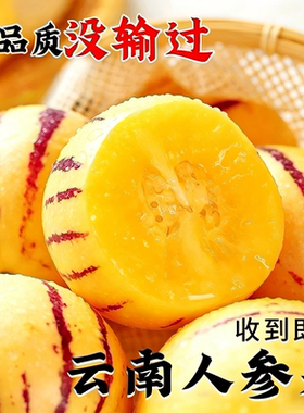 云南石林人参果10斤新鲜大果应季整箱果水果七彩黄肉圆果包邮回购